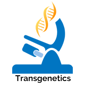 株式会社Transgenetics